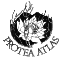 Logo van het Atlas project